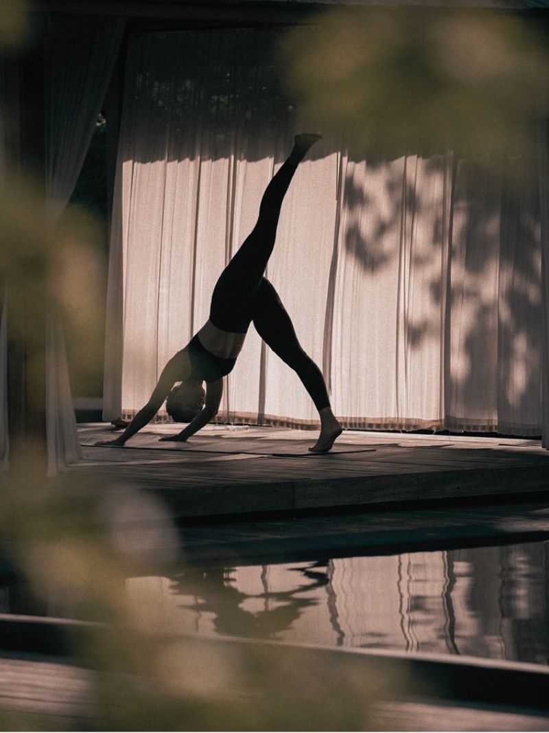 Wellness & Longevity
